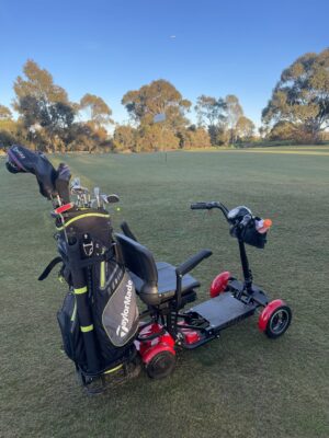 4-Wheel Fold-able Electric Golf Cart