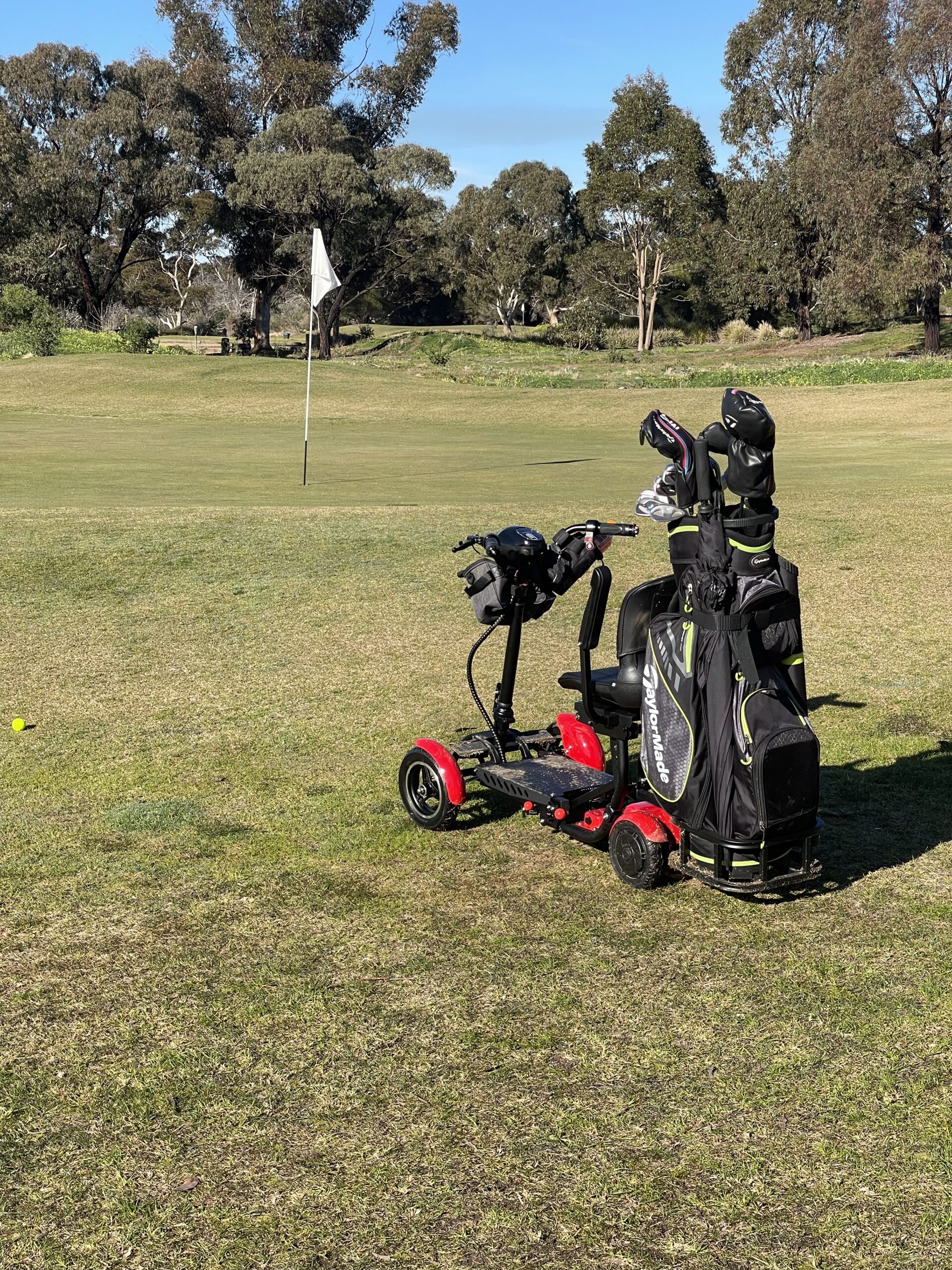 4-Wheel Fold-able Electric Golf Cart - Image 2